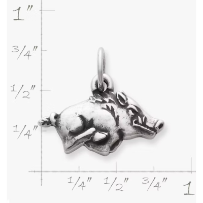 Arkansas Razorback Charm