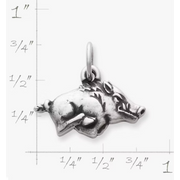 Arkansas Razorback Charm