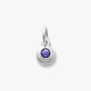 Avery Remembrance Birthstone Charm