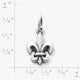 Fleur-De-Lis Charm