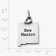 My "New Mexico" Charm