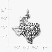 Texas Landscape Charm