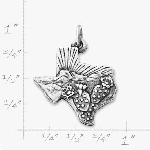 Texas Landscape Charm
