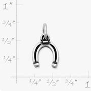 Horseshoe Charm
