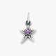 Shining Star Birthstone Charm