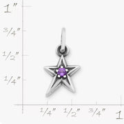 Shining Star Birthstone Charm