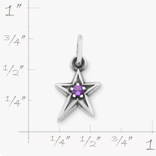 Shining Star Birthstone Charm