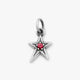 Shining Star Birthstone Charm