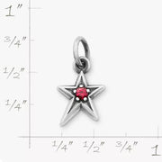 Shining Star Birthstone Charm