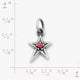 Shining Star Birthstone Charm