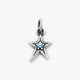 Shining Star Birthstone Charm