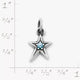 Shining Star Birthstone Charm