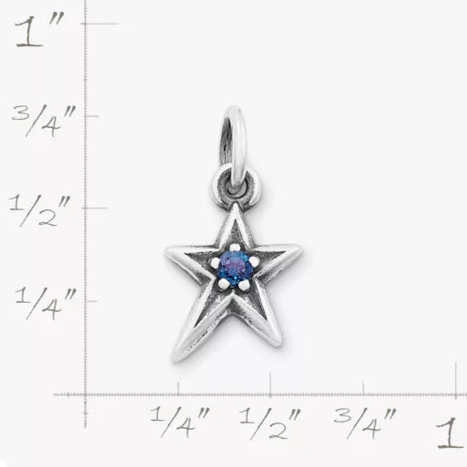 Shining Star Birthstone Charm