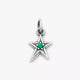 Shining Star Birthstone Charm