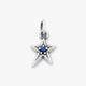 Shining Star Birthstone Charm