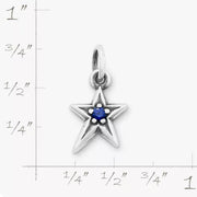 Shining Star Birthstone Charm