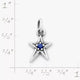 Shining Star Birthstone Charm