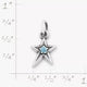 Shining Star Birthstone Charm