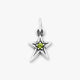 Shining Star Birthstone Charm