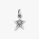 Shining Star Birthstone Charm