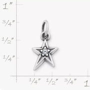 Shining Star Birthstone Charm