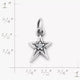 Shining Star Birthstone Charm