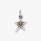 Shining Star Birthstone Charm