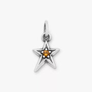 Shining Star Birthstone Charm