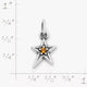 Shining Star Birthstone Charm