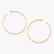 Classic Hammered Hoops
