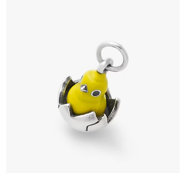 Enamel Chicks Rule Charm