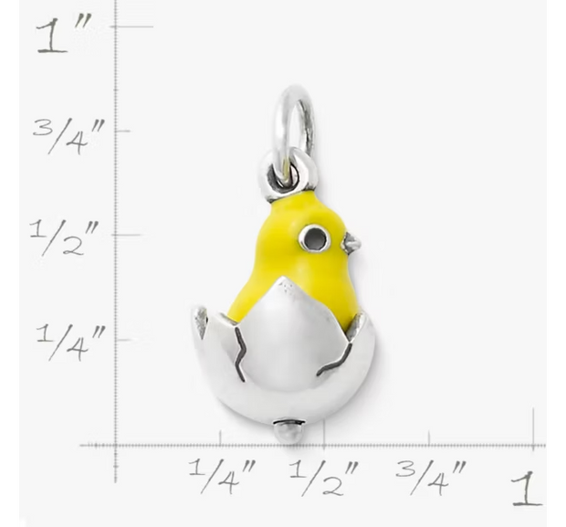 Enamel Chicks Rule Charm