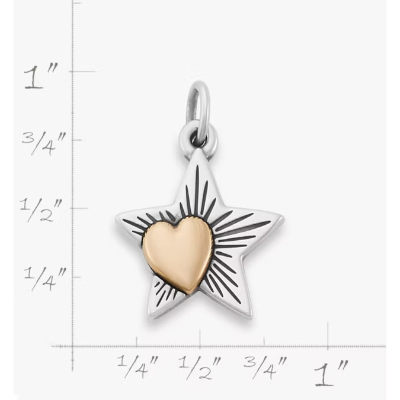 Love in the Stars Charm