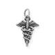 Caduceus Charm