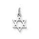 Star of David Charm