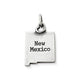 My "New Mexico" Charm
