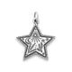 Western Sky Star Charm
