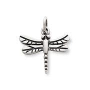 Dragonfly Charm