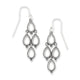 Delicate Cascade Dangle Earrings
