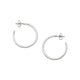 Classic Hammered Hoops