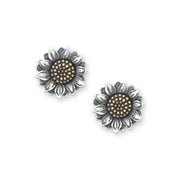 Wild Sunflower Studs