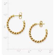 Medium Twisted Wire Hoops