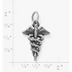 Caduceus Charm