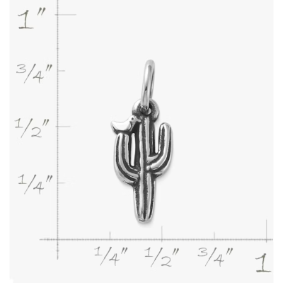 Saguaro Cactus with Bird Charm