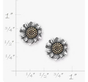 Wild Sunflower Studs