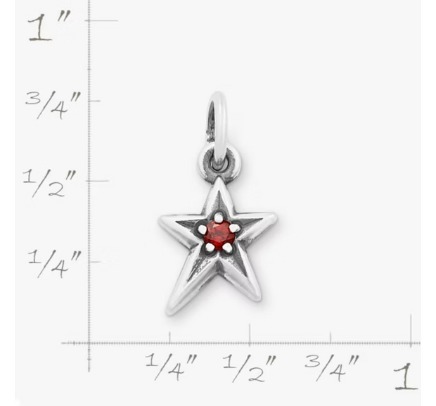 Shining Star Birthstone Charm