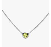 Cherished Birthstone Necklace
