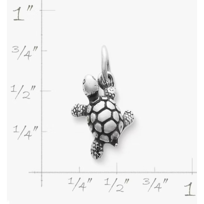 Turtle Charm