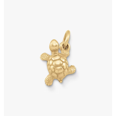 Turtle Charm