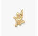Turtle Charm